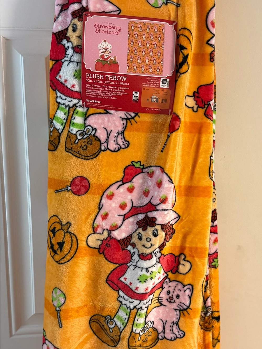 Strawberry Shortcake Halloween Plush Throw Blanket